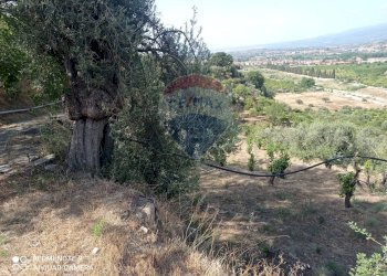 Giardino - Terreno agricolo via fondaco d'accorso, Taormina - foto 2