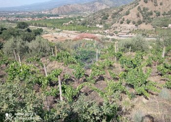 Vista delle montagne - Terreno agricolo via fondaco d'accorso, Taormina - foto 11