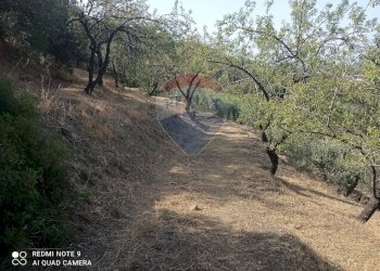 Giardino - Terreno agricolo via fondaco d'accorso, Taormina - foto 15