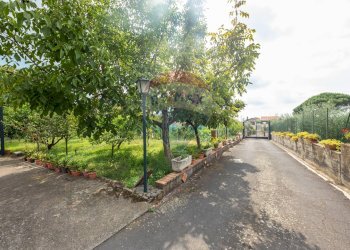 Giardino - Villa Pedara - foto 35