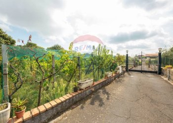 Giardino - Villa Pedara - foto 37