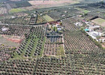 Posizione della mappa - Appartamento via Piano
 
11, Rodi Garganico - foto 2