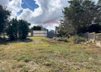 Giardino - Appartamento via Piano
 
11, Rodi Garganico - foto 5