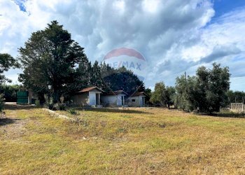 Giardino - Appartamento via Piano
 
11, Rodi Garganico - foto 8