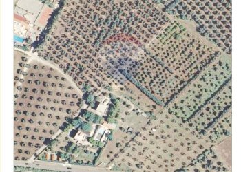 Dettagli - Appartamento via Piano
 
11, Rodi Garganico - foto 102