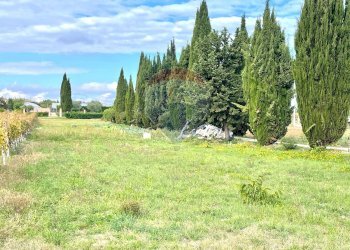 Giardino - Terreno edificabile Via Vittoria Colonna
 
109, Francavilla al Mare - foto 3