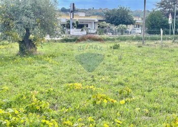 Giardino - Terreno edificabile Via Vittoria Colonna
 
109, Francavilla al Mare - foto 4