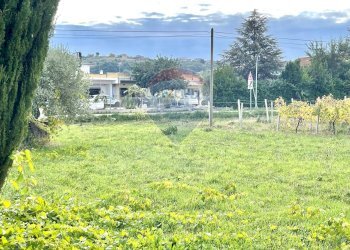 Giardino - Terreno edificabile Via Vittoria Colonna
 
109, Francavilla al Mare - foto 6