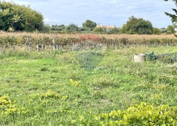 Giardino - Terreno edificabile Via Vittoria Colonna
 
109, Francavilla al Mare - foto 7