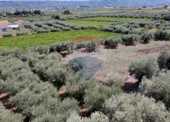 Vista delle montagne - Terreno edificabile Miglianico - foto 8