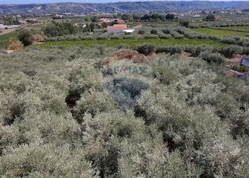 Vista delle montagne - Terreno edificabile Miglianico - foto 7