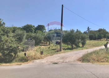 Vista delle montagne - Terreno edificabile Via Torre
 
1, Torrevecchia Teatina - foto 3