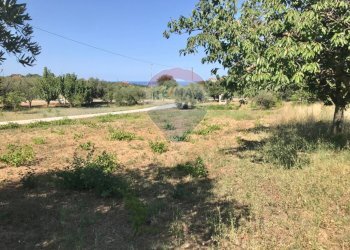 Giardino - Terreno edificabile Via Torre
 
1, Torrevecchia Teatina - foto 5