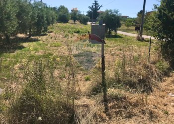 Giardino - Terreno edificabile Via Torre
 
1, Torrevecchia Teatina - foto 9