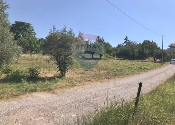 Giardino - Terreno edificabile Via Torre
 
1, Torrevecchia Teatina - foto 13