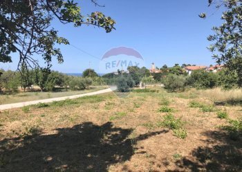 Giardino - Terreno edificabile Via Torre
 
1, Torrevecchia Teatina - foto 15