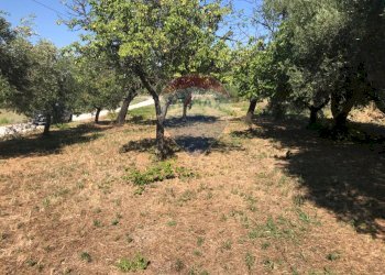 Giardino - Terreno edificabile Via Torre
 
1, Torrevecchia Teatina - foto 16