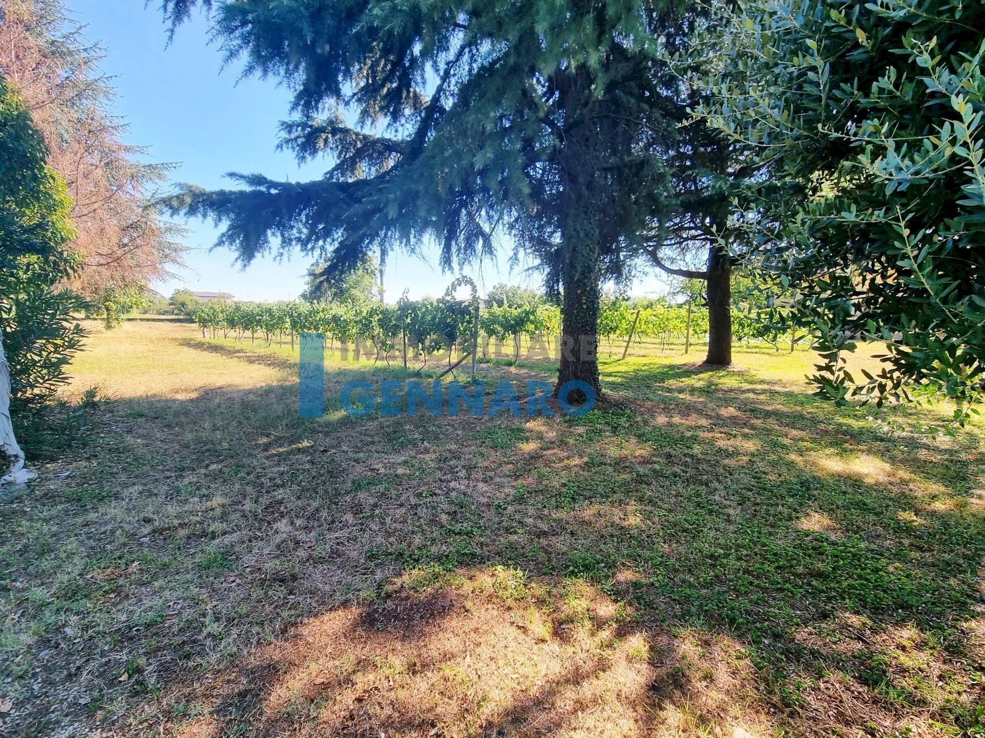 Foto 3 - Building land Via Pascoli, Pavia di Udine - photo 3