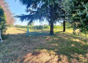 Foto 3 - Terreno edificabile Via Pascoli, Pavia di Udine - foto 3