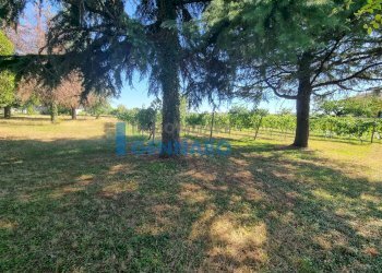 Foto 4 - Terreno edificabile Via Pascoli, Pavia di Udine - foto 4