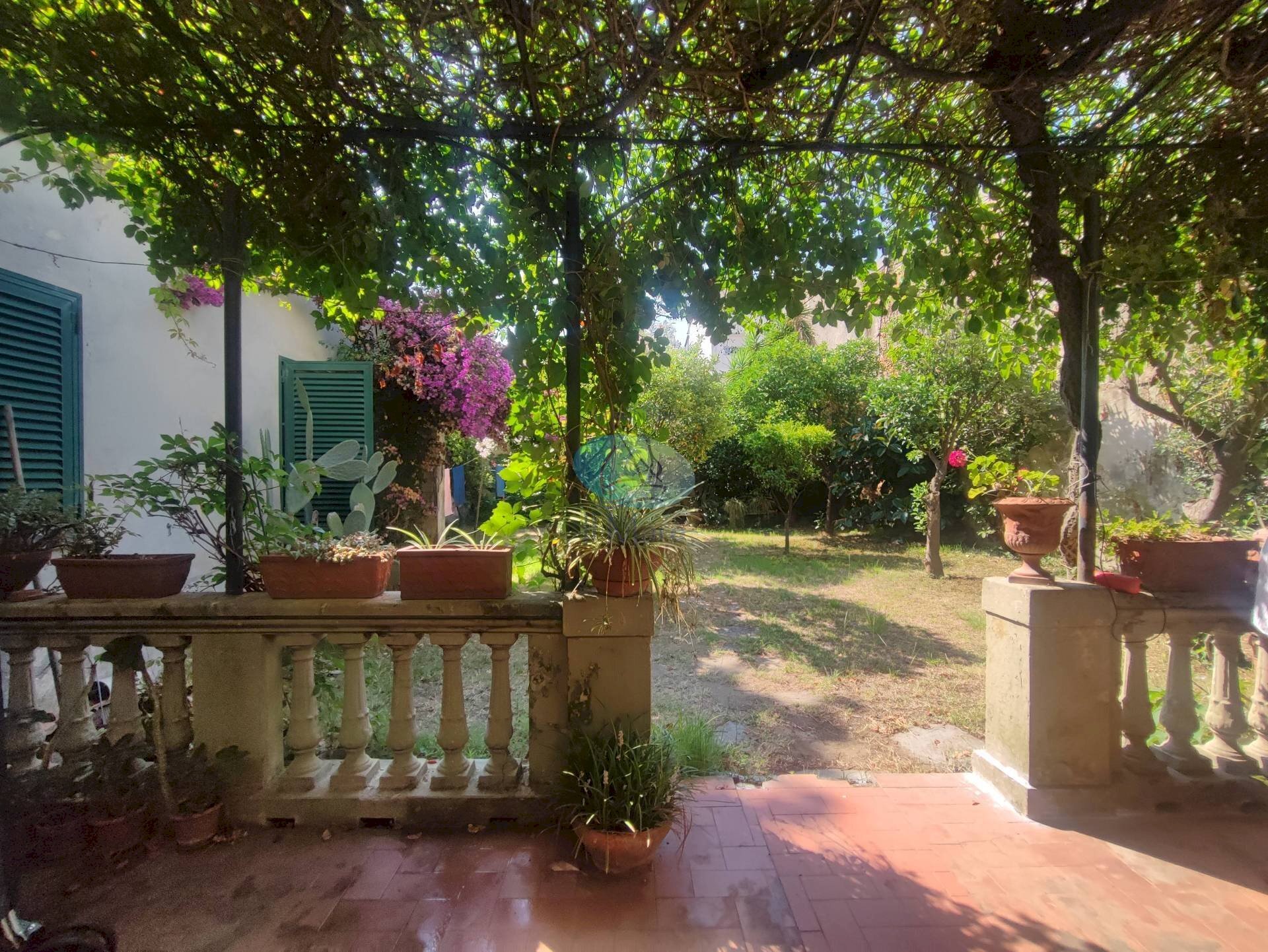 Foto 1 - Casa indipendente via verdi, Viareggio - foto 1