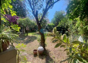 Foto 8 - Casa indipendente via verdi, Viareggio - foto 8