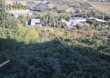 Foto 20 - Casa indipendente CONTRADA TESINO
 
216, Offida - foto 20