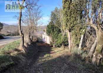 Foto 5 - Casa indipendente CONTRADA TESINO
 
216, Offida - foto 5