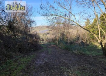 Foto 7 - Casa indipendente CONTRADA TESINO
 
216, Offida - foto 7