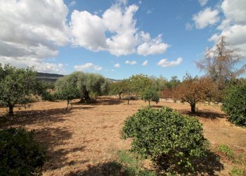 Foto 11 - Villa Contrada Bagni
 
snc, Canicattini Bagni - foto 11