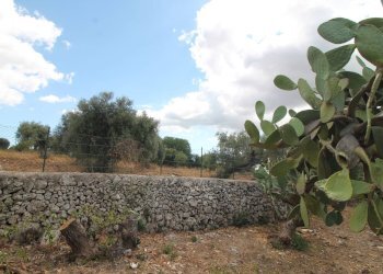 Foto 38 - Villa Contrada Bagni
 
snc, Canicattini Bagni - foto 38