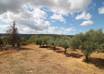 Foto 42 - Villa Contrada Bagni
 
snc, Canicattini Bagni - foto 42