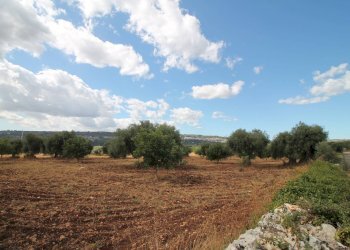 Foto 43 - Villa Contrada Bagni
 
snc, Canicattini Bagni - foto 43