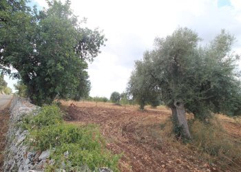 Foto 44 - Villa Contrada Bagni
 
snc, Canicattini Bagni - foto 44