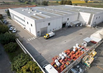 Vista - Shed via Giulio Pastore, 20, Moncalieri - photo 6