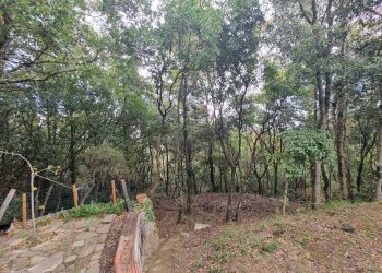 Foto 18 - Casa indipendente Cinque Cerri, Bettona - foto 13