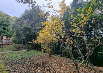 Foto 19 - Casa indipendente Cinque Cerri, Bettona - foto 14