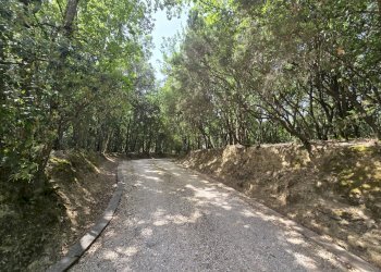 Foto 43 - Casa indipendente Cinque Cerri, Bettona - foto 43