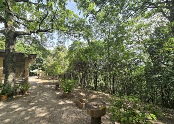 Foto 44 - Casa indipendente Cinque Cerri, Bettona - foto 44