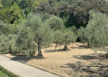 Foto 10 - Rustico Massarosa - foto 10