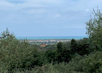 Foto 19 - Rustico Massarosa - foto 19