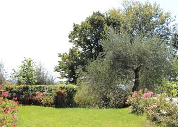 Foto 22 - Rustico Massarosa - foto 22