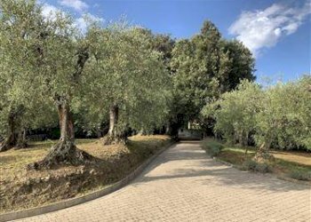 Foto 28 - Rustico Massarosa - foto 28