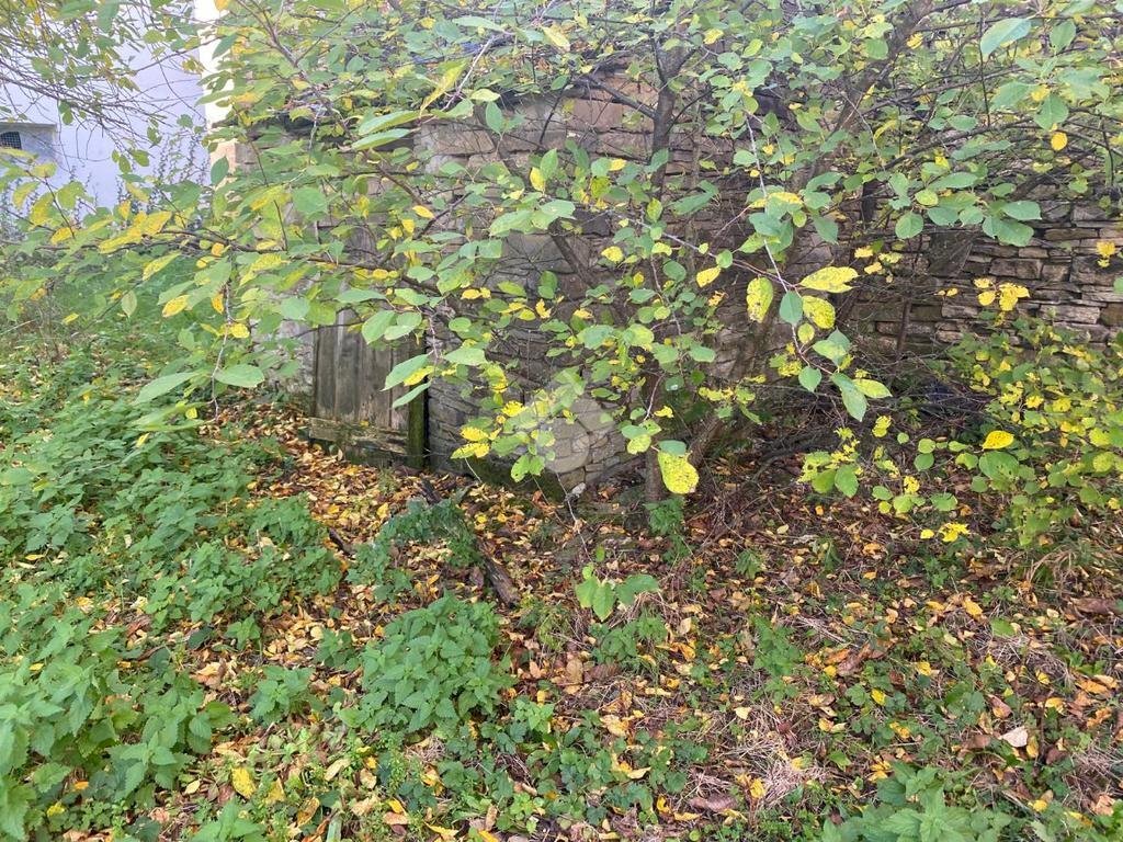 Casa semi indipendente Località Pessola Ronchi, Varsi - foto 2