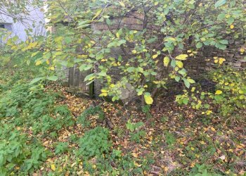 Casa semi indipendente Località Pessola Ronchi, Varsi - foto 2