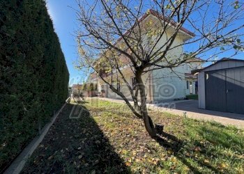 IMG_0881.jpg - Trilocale Fratta Polesine - foto 6