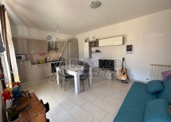 IMG_0887.jpg - Trilocale Fratta Polesine - foto 12