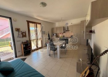 IMG_0888.jpg - Trilocale Fratta Polesine - foto 13