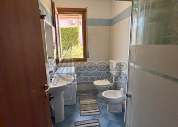 IMG_0893.jpg - Trilocale Fratta Polesine - foto 18