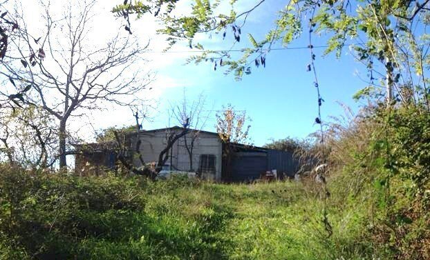 12SANBENEDETTODELTRONTOCASAINCAMPAGNAVISTAMAREjpg - Casale San Benedetto del Tronto - foto 1